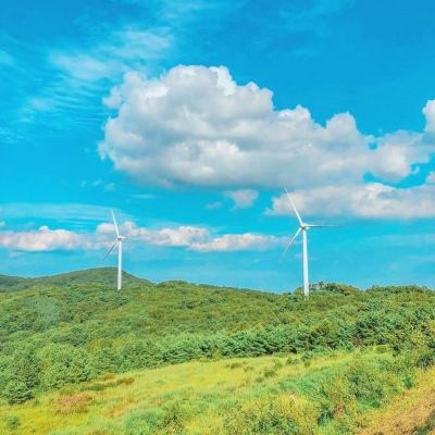 TWS韩振吃蛋挞被韩网审判